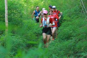 BIB: 
                            <button type="button" onclick="openModal(22096916)" class="btn btn-primary btn-sm float-right btn-popup" data-toggle="modal" data-target=".modal-high-quality">
                        <i class="fas fa-shopping-cart"></i> Add to Cart
                    </button>
                                            <button type="button" onclick="isThisMe(22096916, true)" class="btn btn-success btn-sm float-right btn-popup btn-isme hidden" data-toggle="tooltip" data-placement="bottom" title="นี่คือรูปของคุณใช่ไหม คลิกที่นี่เพื่อเอาเข้าอัลบั้ม">
                        <i class="fas fa-plus"></i> Add to album
                    </button>
                    <button type="button" onclick="isThisMe(22096916, false)" class="btn btn-warning btn-sm float-right btn-popup btn-isnotme hidden">
                        <i class="fas fa-ban"></i> Remove from album
                    </button>